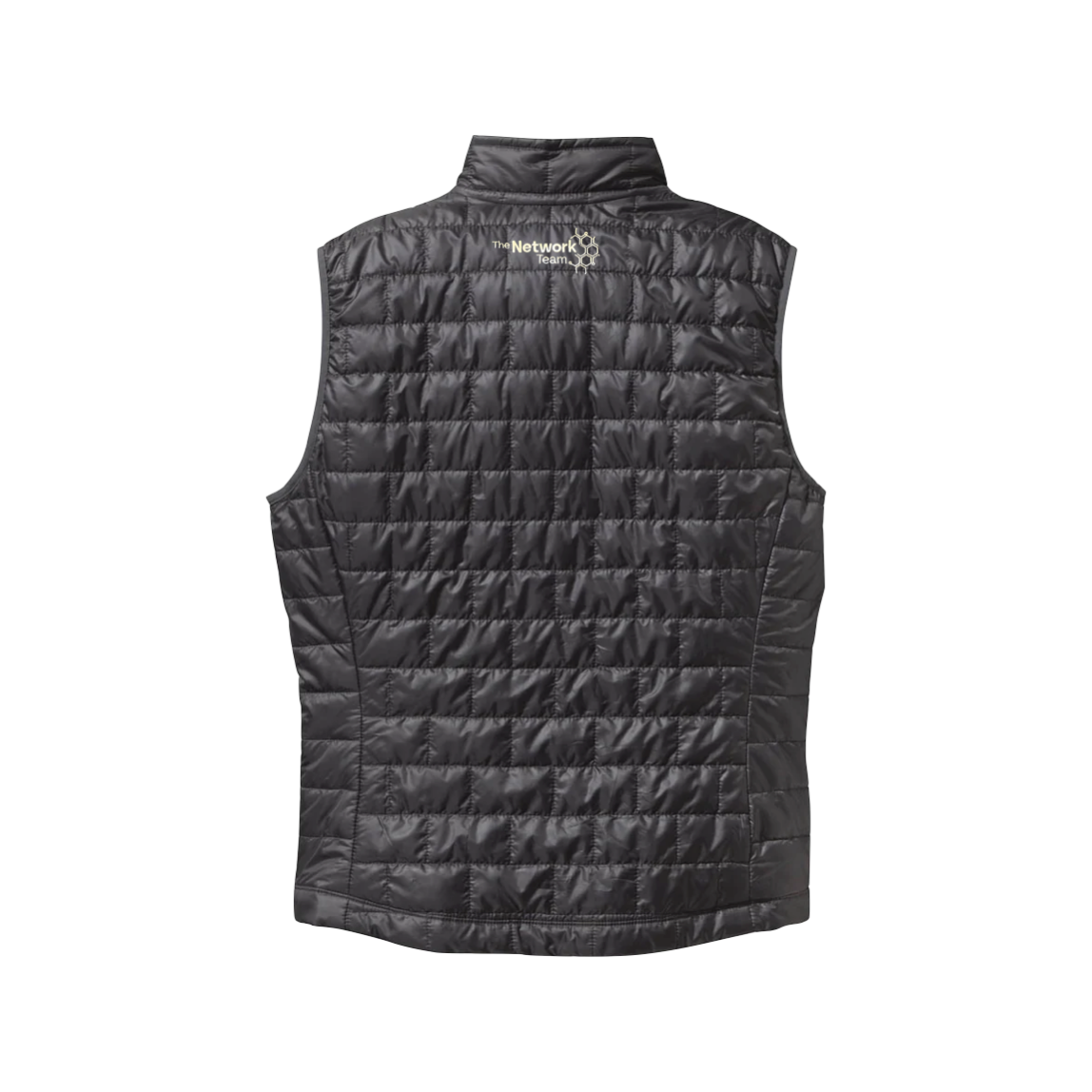 SafeRide Health The Network Team Patagonia Men's Nano Puff Vest