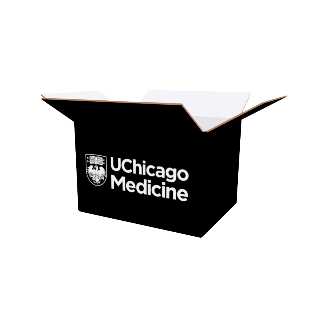 Knock Knock Tier 2/3 Shipping Box