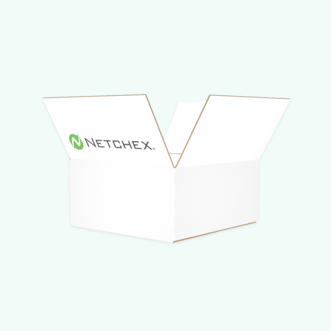 Netchex Shipping Box – Pie Hole Marketing Inventory