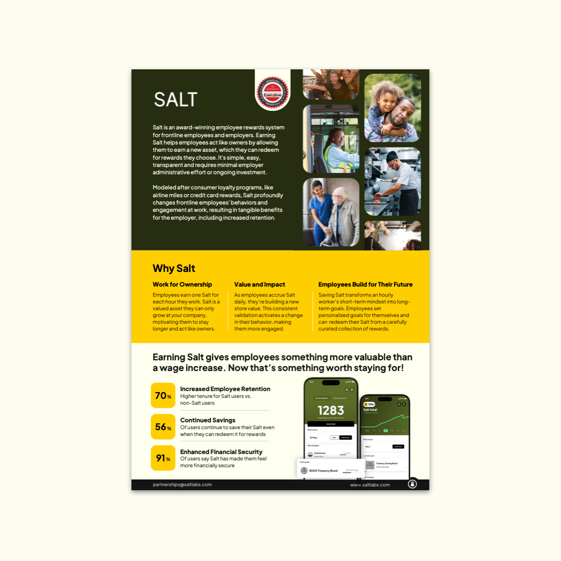 Salt Labs Flyer (Why Salt)