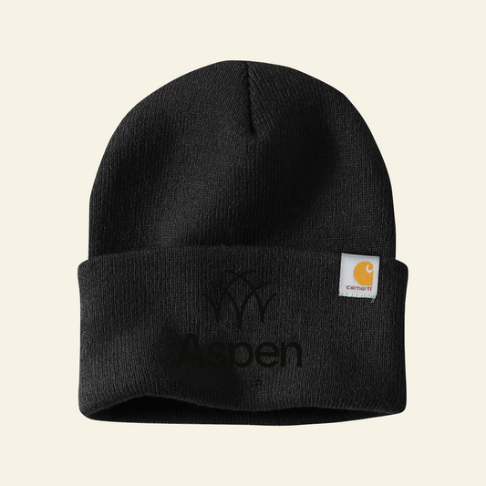 Aspen Group Carhartt® Watch Cap 2.0